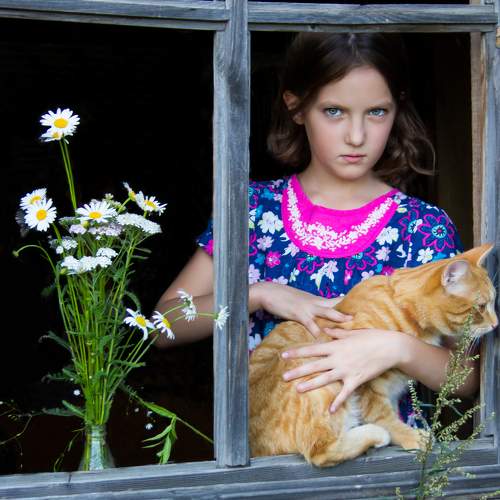 Photo #8797297