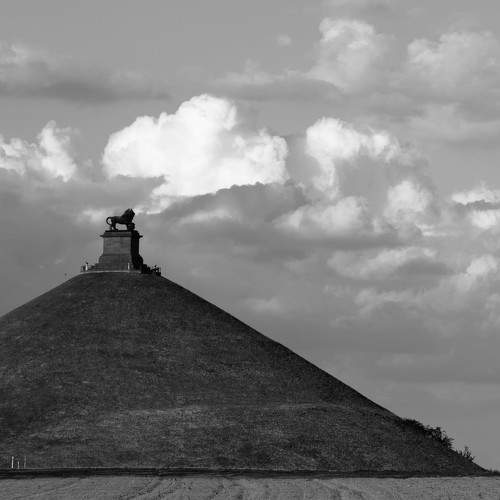 Photo #8797332