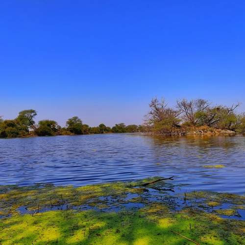 Photo #8797343