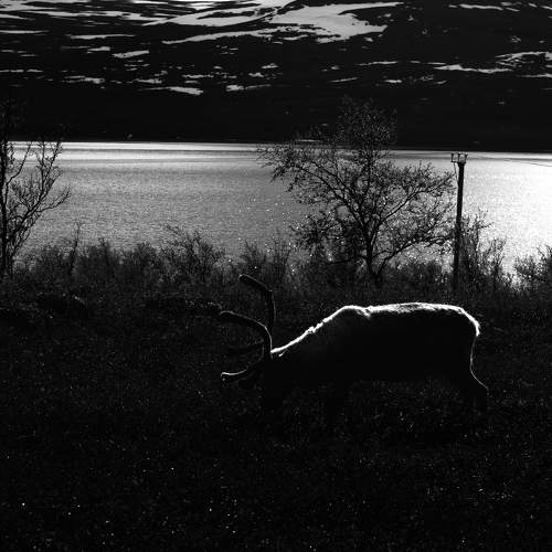 Photo #8797352