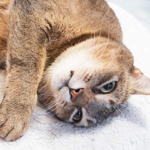 Photo #8797394