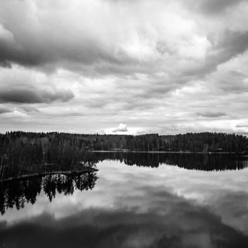 Photo #8797482