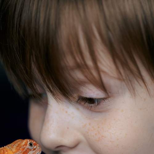 Photo #8797573
