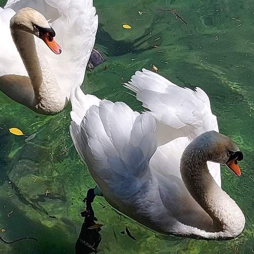 Photo #8797604