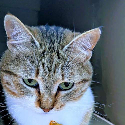 Photo #8797779