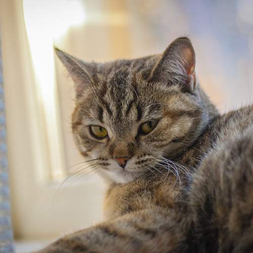Photo #8797975