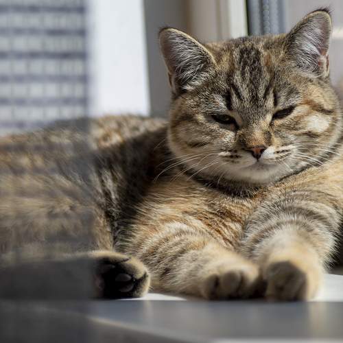 Photo #8797993