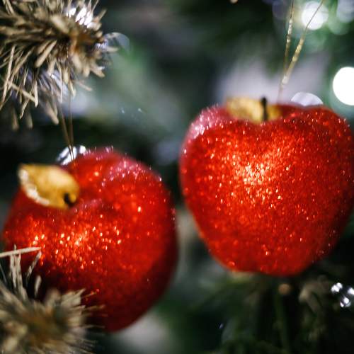 Photo #8798074