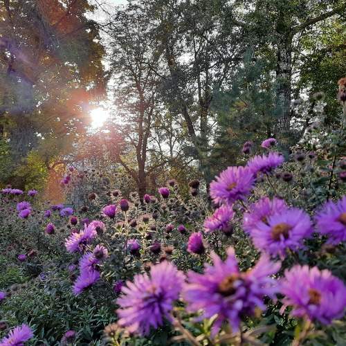 Photo #8798141