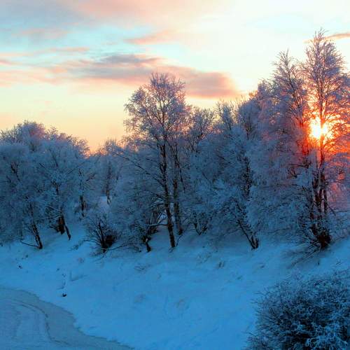 Photo #8798176