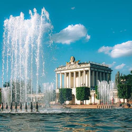Photo #8798335