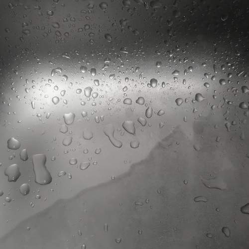 Photo #8798514