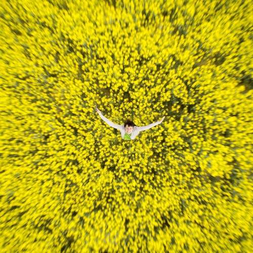 Фотография #8798523