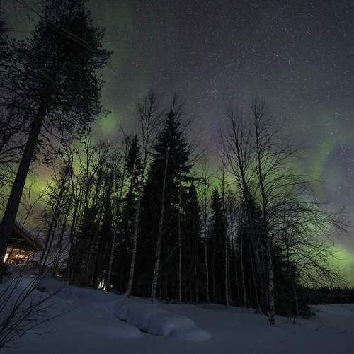 Photo #8798580
