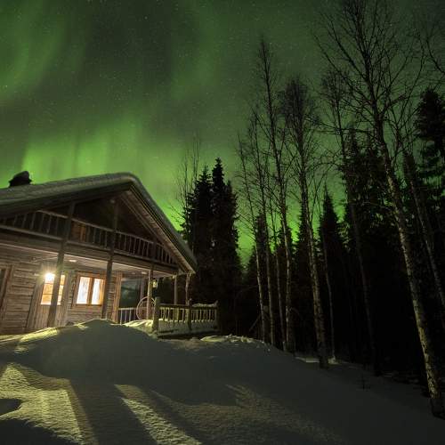 Photo #8798581
