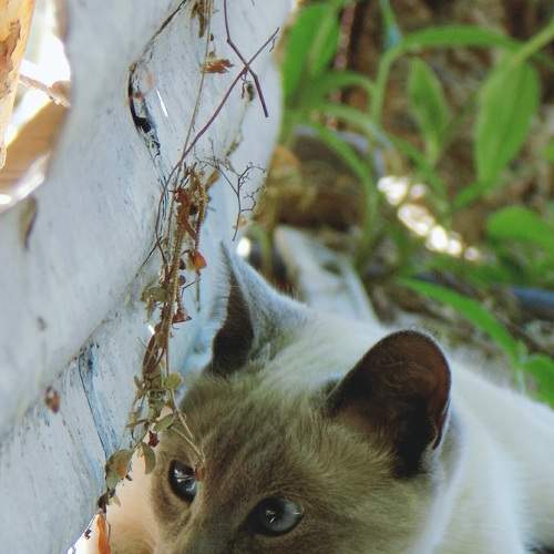 Photo #8798600