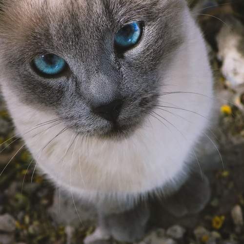 Photo #8798602