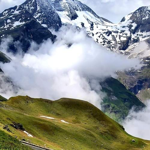 Photo #8798606