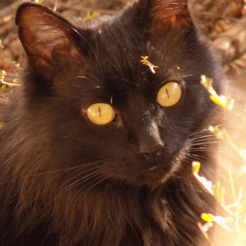 Photo #8798609