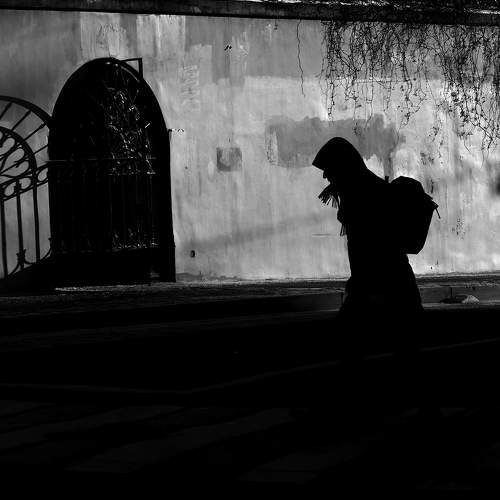 Photo #8798673