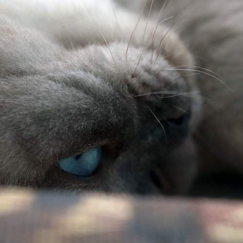 Photo #8798793