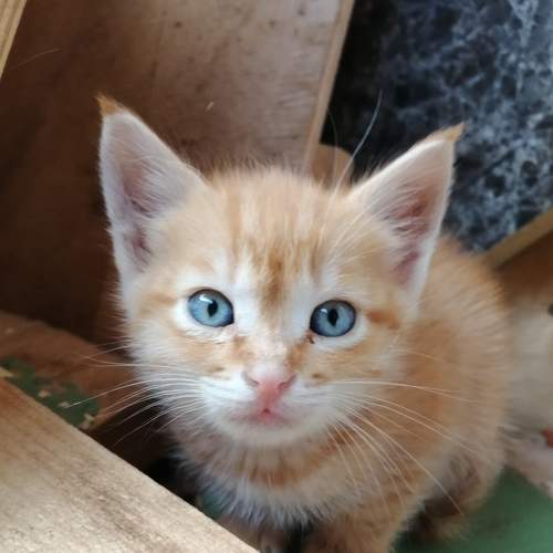 Photo #8799019