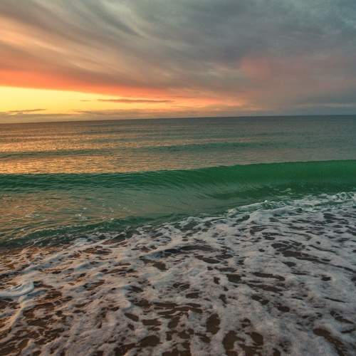 Photo #8799087