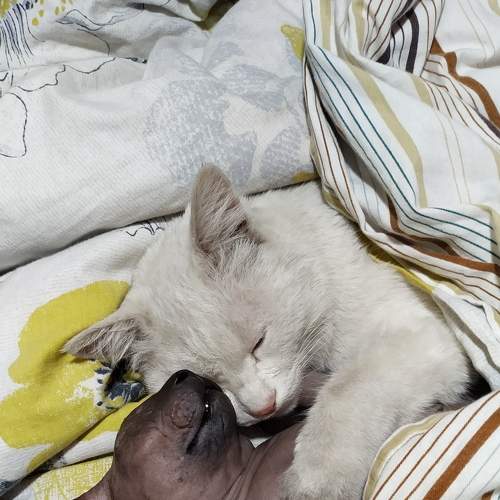 Photo #8799151