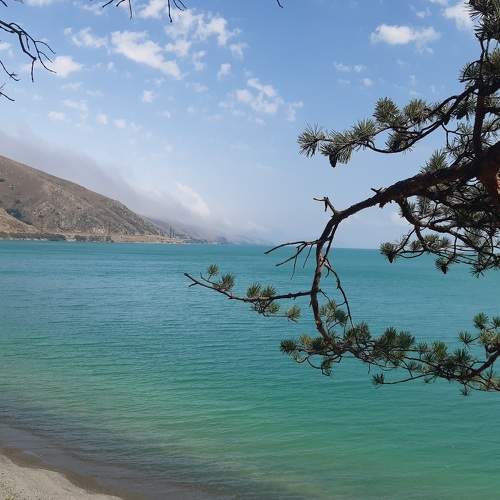 Photo #8799347