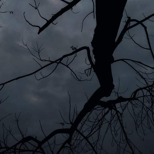 Photo #8799411