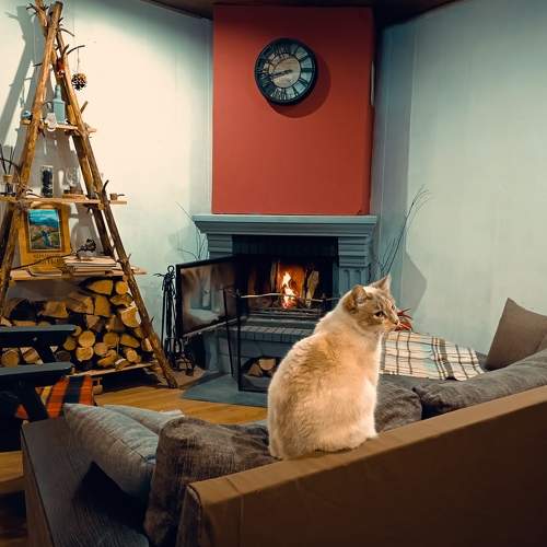 Photo #8799651