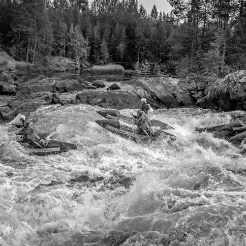 Photo #8799675