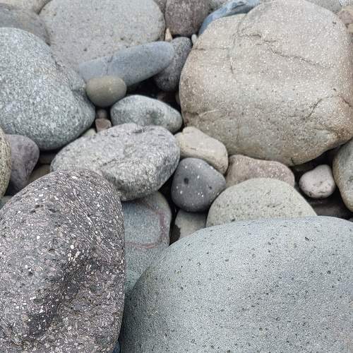 Photo #8799778