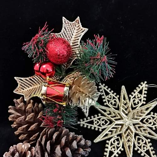 Photo #8800108