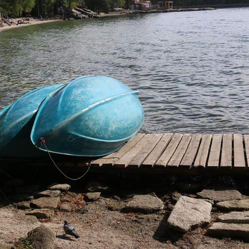 Photo #8800218