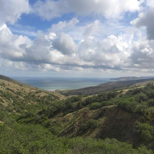 Photo #8800272