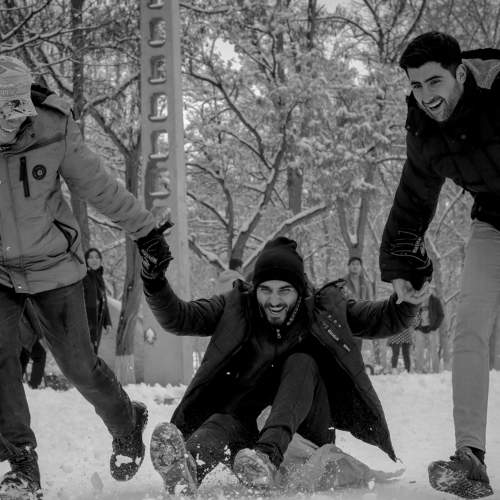 Photo #8800528