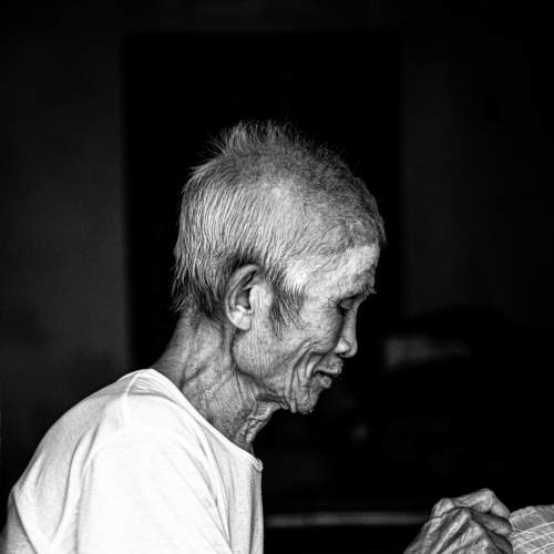Photo #8800629