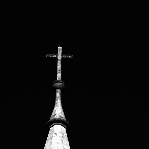 Photo #8800650