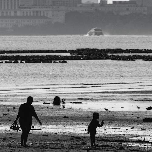 Photo #8800709