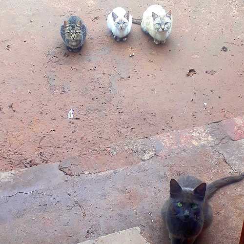 Photo #8800790