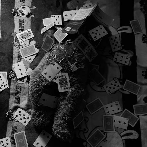 Photo #8800800