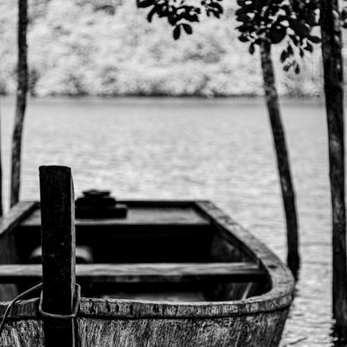 A Canoa da Marisqueira
