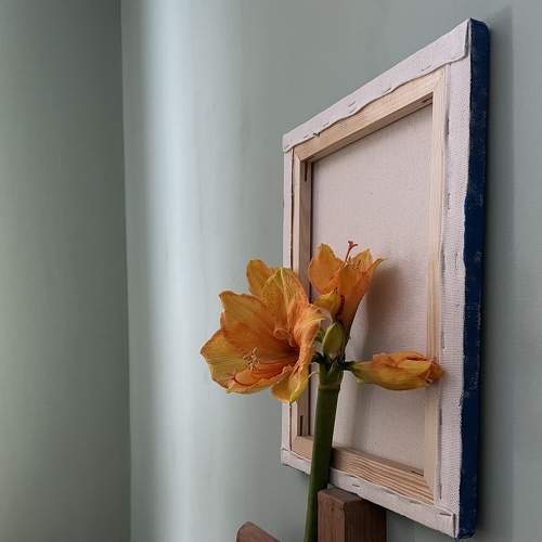 Photo #8801174