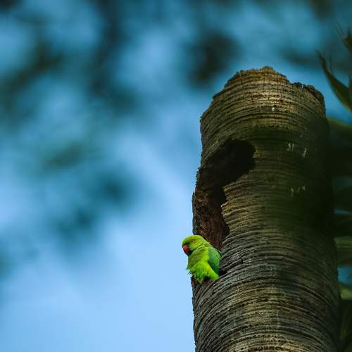 Photo #8801225