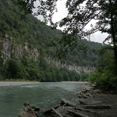 Photo #8801325