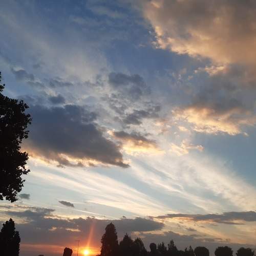 Photo #8801329