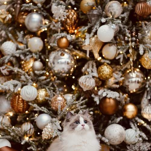 Photo #8801515