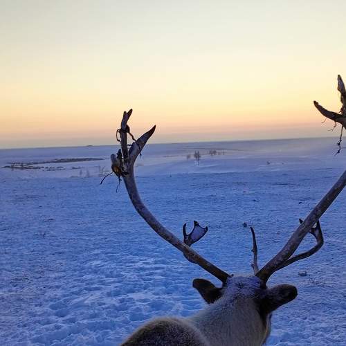 Photo #8801609