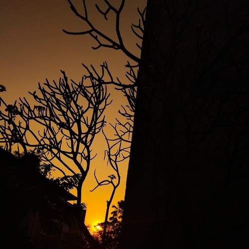 Photo #8801806